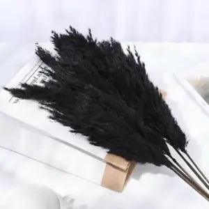 Wed ding Decor Pampas Grass Real Flower Reed Natural Best Plant Dried Stems C8Z8