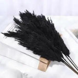 Wed ding Decor Pampas Grass Real Flower Reed Natural Best Plant Dried Stems C8Z8
