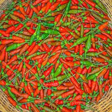 Sili Labuyo Hot Peppers