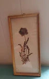 Vintage Framed Dried Flowers Art, Made in Germany Hildegard vogel