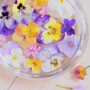 30 seeds Pansy Giant Swiss Pansy mix - Viola