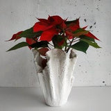 Large handmade orchid planter. Flower growers gift. White pottery vase.