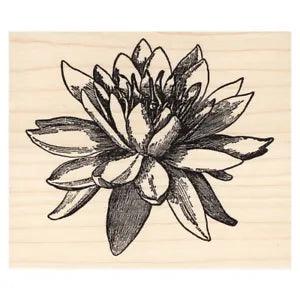 Large Water Lily Flower Beeswax Rubber Stamp Mounted Scenic Landscape