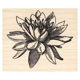 Large Water Lily Flower Beeswax Rubber Stamp Mounted Scenic Landscape
