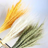 100Pcs 60cm Wheat Ear Flower Natural Dried Flowers For Party DIY Wheat BouquHF u