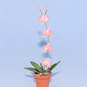 1:12 scale * 1 inch scale dollhouse miniature-Phalaenopsis Orchid