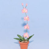 1:12 scale * 1 inch scale dollhouse miniature-Phalaenopsis Orchid