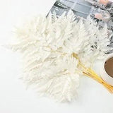 Fern Preserved White Ferns, 10 PCS Dried Boston Fern with Stems, 15'' Real