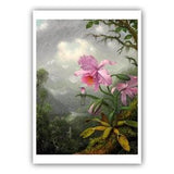 Martin Johnson Heade : "Hummingbird Perched on the Orchid Plant", 1901 - Museum Quality Giclee Print/Canvas - A4/A3/A2