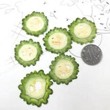 12pcs Dried Pressed Vegetable Slices For Jewellery Photo Frame Phone Case...