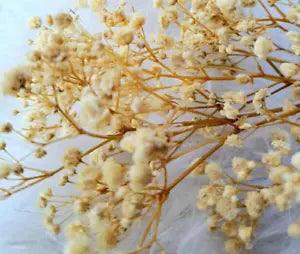 Real Happy Flower Natural Dried Flowers Hand Picked Pure Dried Home Table Bouqu