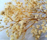 Real Happy Flower Natural Dried Flowers Hand Picked Pure Dried Home Table Bouqu