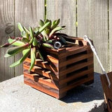 215. Salvaged Excalibur? Wood Hanging Basket Planter for Orchids, Bromeliads, Ferns, Cacti, Other Epiphytes and Succulents