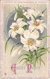 1914 Easter Postcard of Lovely Easter Lilies - Series 231 D