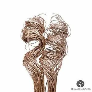 Green Floral Crafts|Pack of 2| 20 Stem Curly Ting Branches 2 Ft Tall (Champagne)