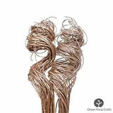 Green Floral Crafts|Pack of 2| 20 Stem Curly Ting Branches 2 Ft Tall (Champagne)
