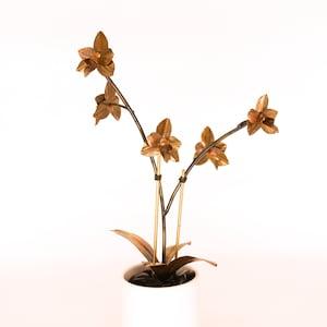 Orchid #5 Copper
