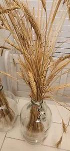 Dried Wheat (Flowers?)