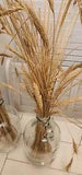 Dried Wheat (Flowers?)