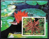 Fujeira 1972 Flowers Water Lily Plants Imperf m/s MNH