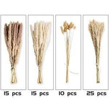 65PCS Pampas Grass Decor, Including pompas Floral, Reed Dried Grass and Bunny