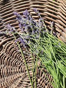 Lavender Bundles Dried Flowers Cottage Natural Garden Purple Decor Herbs ??