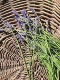 Lavender Bundles Dried Flowers Cottage Natural Garden Purple Decor Herbs ??