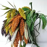 Gradient Grain Wheat Ears Living Room Decoration Colorful Grass Rattan Plant New