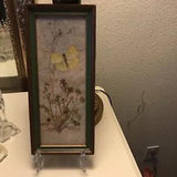 Dried flower and butterfly framed 5 1/2??? X 12???Picture , all intact, vintage