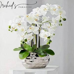 LE MARAIS PARIS - Luxury White orchids in plant pot - Stoneware Silver pot - hammered effect vase - 12 X 14 Cm - H 55 Cm - Christmas gift -