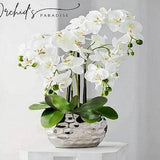 LE MARAIS PARIS - Luxury White orchids in plant pot - Stoneware Silver pot - hammered effect vase - 12 X 14 Cm - H 55 Cm - Christmas gift -