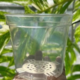 Clear Nursery Pots | Sturdy | Heavy Duty Plastic | High Quality | Great Drainage | Keep an Eye on Roots | Healthy Roots | 3 Inch | 4 Inch