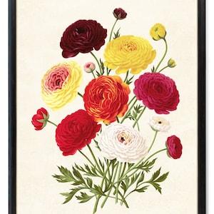 Autumn Floral Printable, Vintage Flower Illustration, Fall Colors Ranunculus Bouquet Printable Wall Art