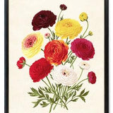 Autumn Floral Printable, Vintage Flower Illustration, Fall Colors Ranunculus Bouquet Printable Wall Art