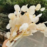 Natural Preserved Eucalyptus Leaves Dried Flower Bouquet Wedding Home Decor 50g