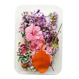 ?1 of box Mixed Dried Flowers Petals Embellishments Crafts  Cover