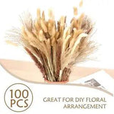 100PCS Natural Dried Pampas Grass Bouquet Dried Flowers for Boho Home Decor DIY