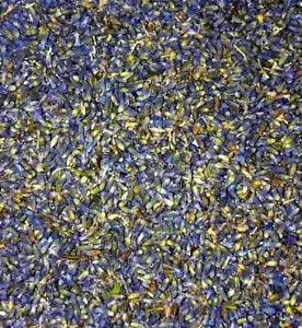 Lavender Flowers Buds - Lavandula angustifolia - Organic Dried Apothecary Wicca