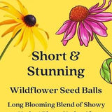 Short and Stunning Native Wildflower Seed Balls | 10 Seed Balls | Peat Free | Native to Eastern Canada and NE USA