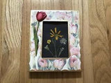 Pressed Flowers On Black Paper In Frame 6x8???