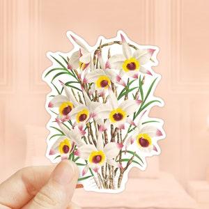 Dendrobium Falconeri Sticker, Orchid Flower Sticker, Die Cut Sticker, Water Bottler Sticker, Laptop Decal, Vinyl Sticker, Plant Stickers