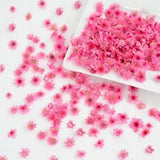200-280pcs Mini Decorative Dried Flower Heads DIY Craft Making Wedding Decor NEW