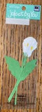 RARE Mini Jolees CALA LILY White Flowers Lillies 3D Scrapbook Non-Adhesive Card