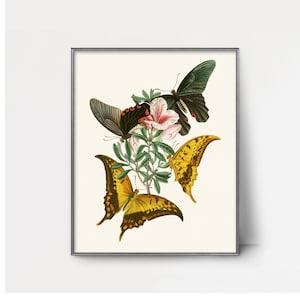 PRINTABLE 1840s Swallowtail Butterfly Art -- vintage butterfly wall art, butterfly watercolor painting print, 1800s orchid art insect print