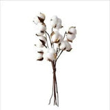 Artificial Dried Cotton Flower Plants Floral Branch For Wedding Party Decoration