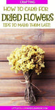Best Ways to Make Dried Flowers Last Flower Delivery