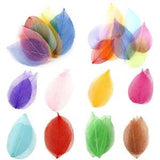 20Pcs/set Bookmarks Natural Skeleton Leaves Pressed Dried Flower for Making...