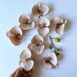 Orchids, 8 Orchid Flowers, Artificial orchidea, Artificial flowers, Soft touch Faux flowers, phanelopsis heads, wedding flowers, millinery