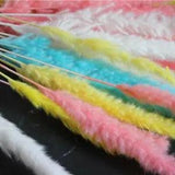 Real Dried Natural Grass Reed Flower Dry Small Bulrush Bouquet Pampas Home Decor