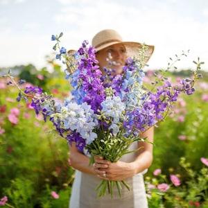 50 Cottage garden Cut flower Seeds - mixed color